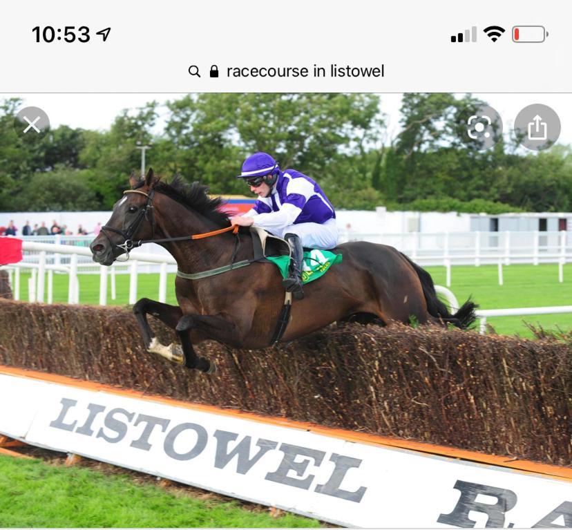 Racecourse View Hotel Listowel Exterior foto